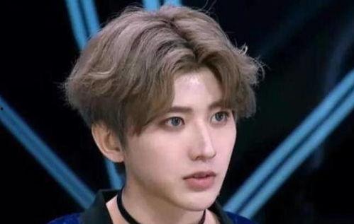 姓蔡的男明星网红,网络红人界的璀璨星辰