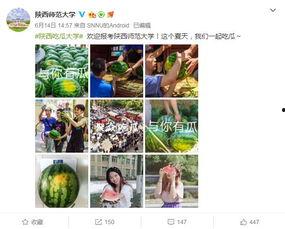 今日吃瓜最新信息大学,揭秘今日吃瓜热点背后的校园故事