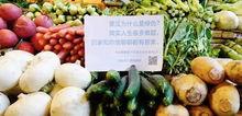 今日份茄瓜文案图片,营养满溢，美味升级！