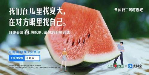 今日份茄瓜文案图片,营养满溢，美味升级！