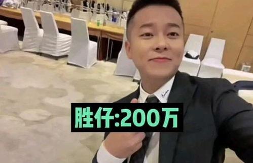 明星网红捐款名单曝光,捐款名单曝光揭示爱心力量