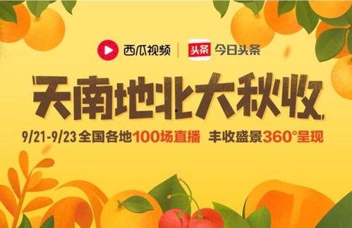 今日头条有哪些瓜,娱乐圈、科技圈、社会热点大揭秘！
