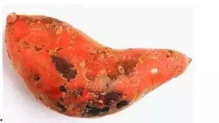 黑瓜多长时间才能煮熟吃,解锁美味熟食的秘密，只需多长时间？