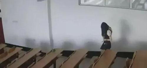 黑科技大学 吃瓜,揭秘校园“吃瓜”文化背后的故事