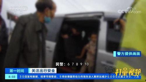 偷瓜事件热门视频,一场网络热议的瓜田奇遇记