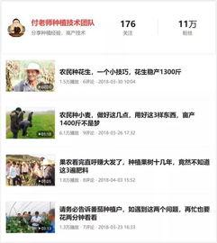 今日头条种什么瓜,揭秘种瓜达人，瓜农们的新时代种植秘诀