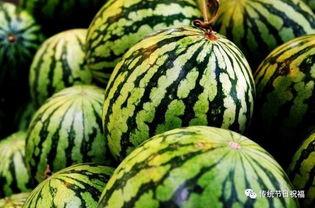网红吃瓜黑料QQ群,黑料狂欢背后的真相