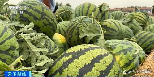 近期热门吃瓜事件广东,揭秘近期热门吃瓜事件背后的真相