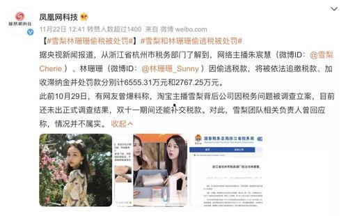 明星网红偷税漏税,揭开娱乐圈税务乱象的冰山一角