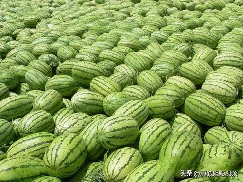 吃瓜热门大瓜汇总,揭秘娱乐圈风云变幻
