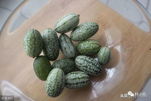 创4热门瓜,揭秘选手背后的故事与争议
