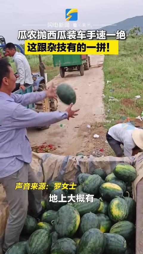 宜城瓜王今日新闻,瓜王诞生，瓜香四溢，宜城农业新篇章