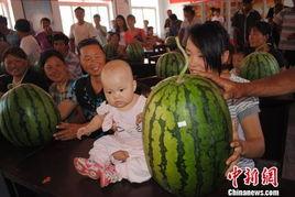 宜城瓜王今日新闻,瓜王诞生，瓜香四溢，宜城农业新篇章