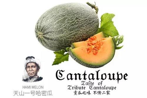 推特吃瓜爆料是真是假,真相还是谣言？揭秘网络舆论背后的真相”