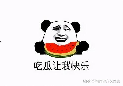 吃瓜群众不吹不黑,吃瓜群众视角下的真实事件剖析