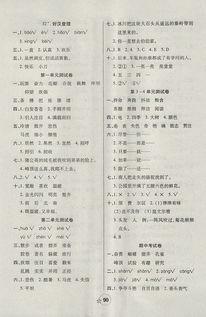 明星网红随堂测试答案,揭秘网红明星的真实实力