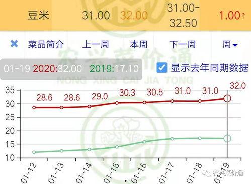 小瓜今日行情分析,今日市场动态一览