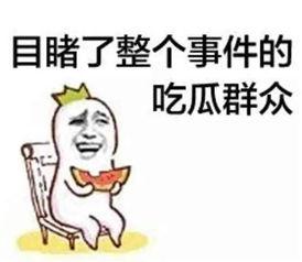 你爆料我吃瓜小说沙雕动画,揭秘“吃瓜小说”背后的爆笑世界
