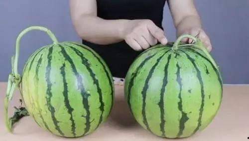吃瓜爆料颜色不一样,揭秘娱乐圈的缤纷世界