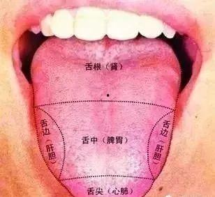 吃瓜尖舌头会黑,吃瓜尖舌头变黑之谜