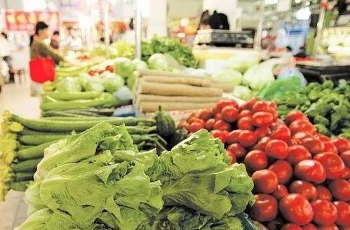 寿光吊瓜菜价今日菜价,价格波动解析与市场动态一览”
