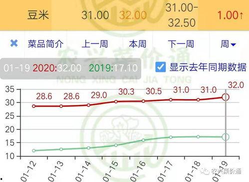 今日小瓜价位走势分析,洞察今日市场动态