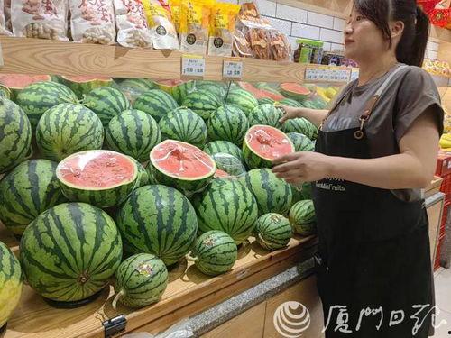 洋瓜价格今日行情最新,价格波动解析与市场趋势洞察