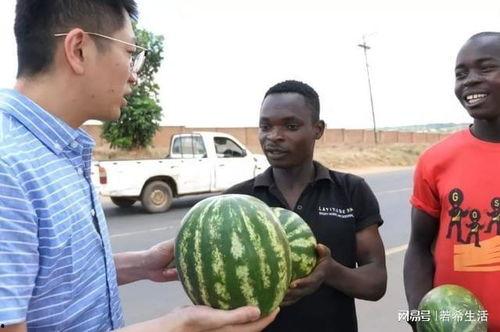 顶级名媛黑料吃瓜在线,那些不为人知的黑料与八卦