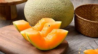 今日滑县哈密瓜价格,今日行情一览