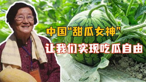 豆瓣自由吃瓜基地全是黑,揭秘网络舆论场的黑白真相