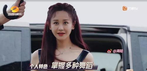 明星网红活该被骂,网络暴力下的双重标准与反思