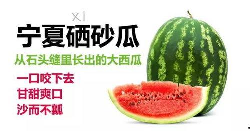 宁夏硒砂瓜今日价,今日市场行情一览，品质佳价优引关注”