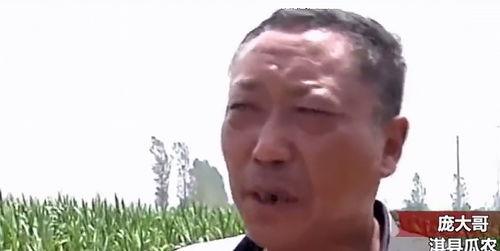 赵一菲吃瓜热门事件,揭秘娱乐圈背后的真相与争议