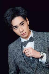 2017男明星网红,2017年度男明星网红风云榜
