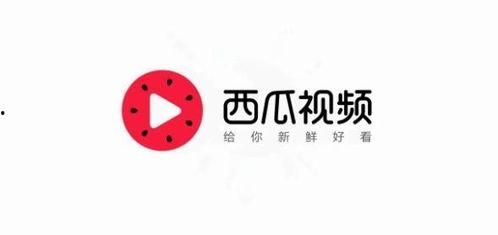 今日头条海边吃瓜,一起分享今日头条的吃瓜乐趣