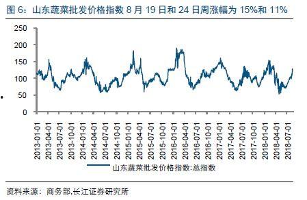 寿光籽瓜今日价格走势,今日走势解析
