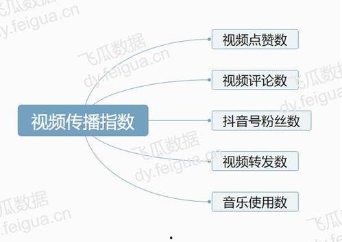 飞瓜数据热门词,洞察行业趋势，引领潮流风向标