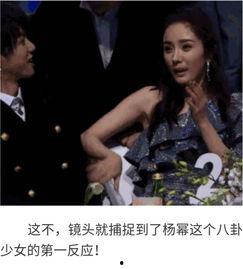 明星八卦大爆料吃瓜视频,明星八卦大爆料，吃瓜群众狂欢时刻