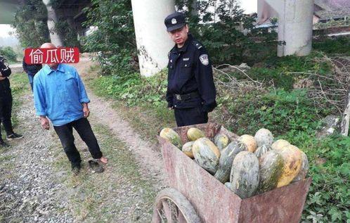 近期寿光热门吃瓜事件,揭秘近期热门吃瓜事件背后的真相