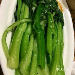 瓜州县今日猪肉价格,今日行情一览