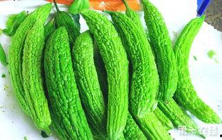 今日凉瓜价钱行情最新