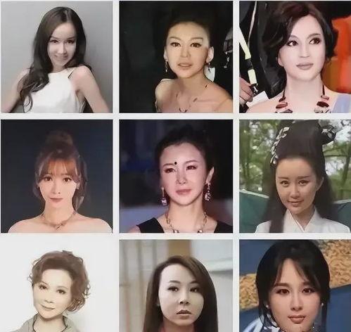 明星网红算啥行业类型