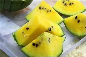 最近热门黄色瓜