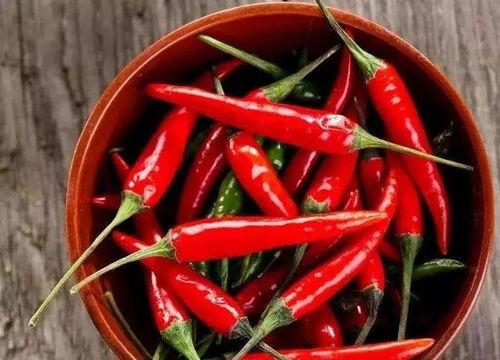 今日立夏吃瓜吗,瓜果飘香，共享夏日清凉时光