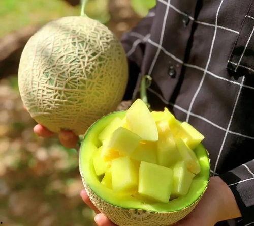 今日娱乐圈有什么瓜可以吃,揭秘今日热点事件