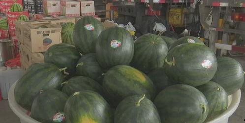 热门大瓜在线吃瓜免费观看,畅享吃瓜盛宴！