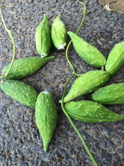 今日旱瓜价格行情,涨跌波动，市场动态一览