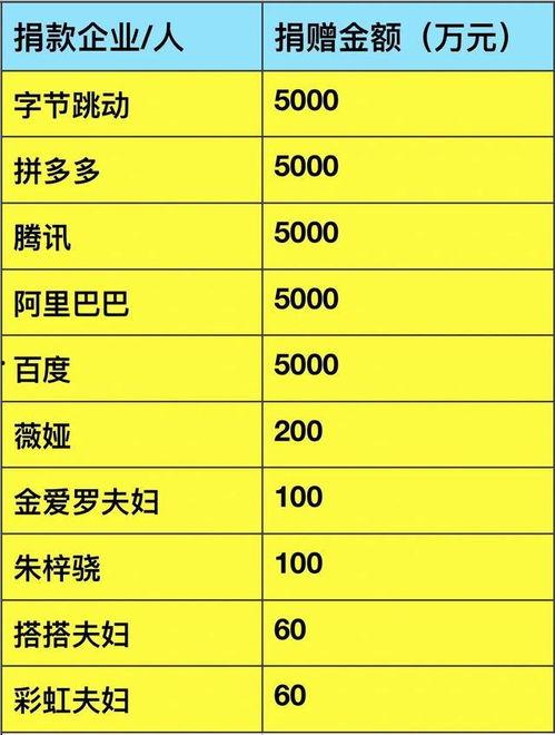 企业明星网红捐款表,共筑慈善捐款新篇章