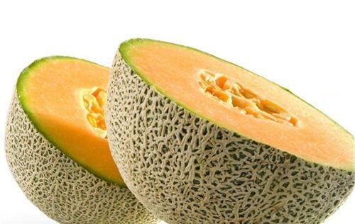 黑茶和哈密瓜能一起吃吗,美味搭配的饮食新主张