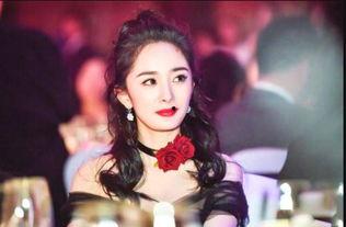 明星网红搭档是谁,揭秘神秘搭档背后的故事